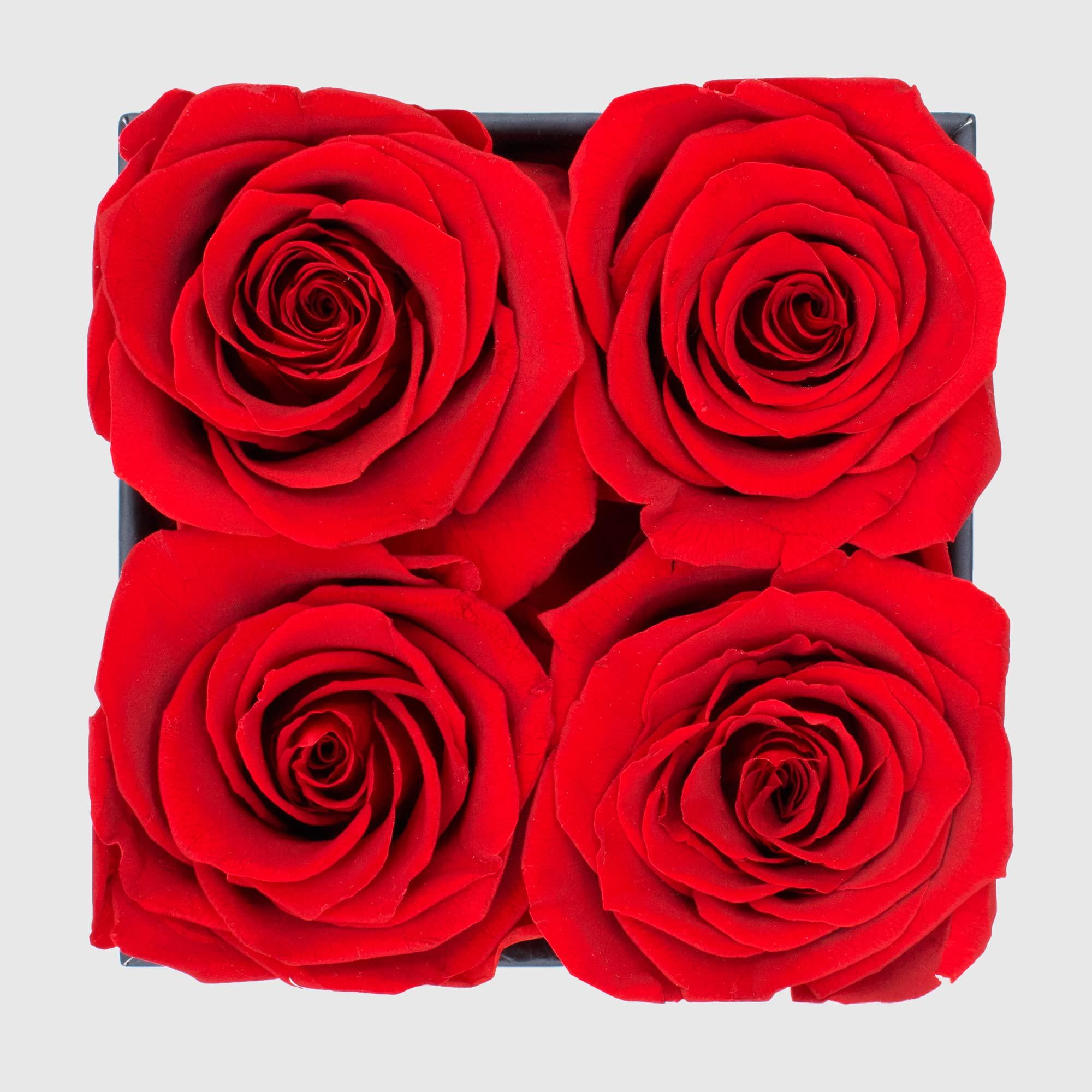 Chloe\'s Graceful Fleurs Graceful Fleurs | Real Roses That Lasts for Years | Preserved Fresh Flowers for Delivery Birthday | Forever Roses in a Box | Valentines Day Gifts for Her (Red, Black Box, 4 Roses)